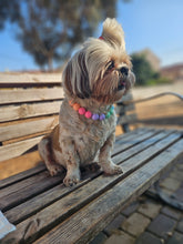 Load image into Gallery viewer, Frenchies choice Matte Acrylic Bead Collar